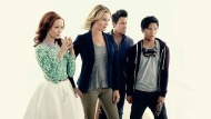 The Librarians