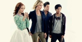 The Librarians